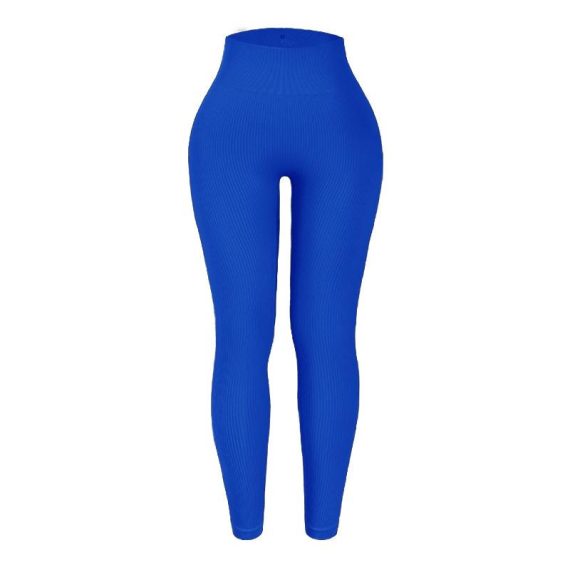 Activewear | Womens  Plt Sport Steel Blue Seamless Contrast Rib High Waist Leggings Activewear Activewear